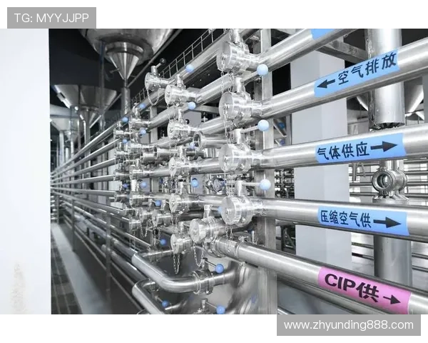 AG视讯公司简介与行业影响力：企业创新能力与合作伙伴关系深度解读
